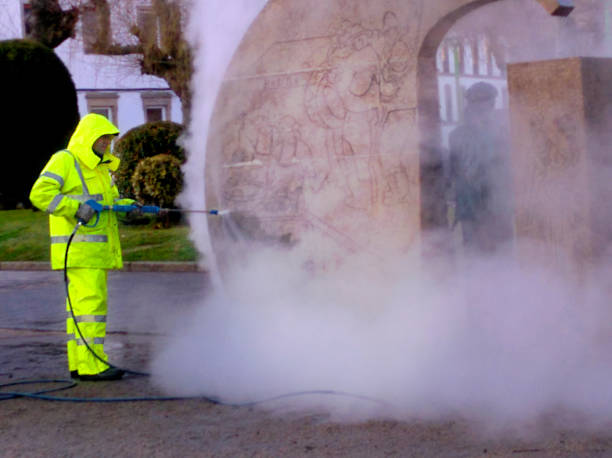 Best Garage Pressure Washing  in Chester, IL