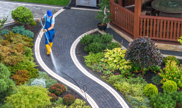 Best Pressure Washing Siding  in Chester, IL